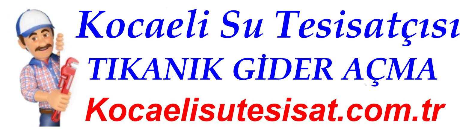 ☎️☎️ (0541) 173 43 23 ☎️☎️